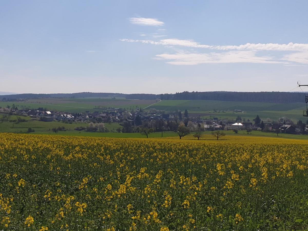 Pension Zum Adler Limbach  Екстериор снимка